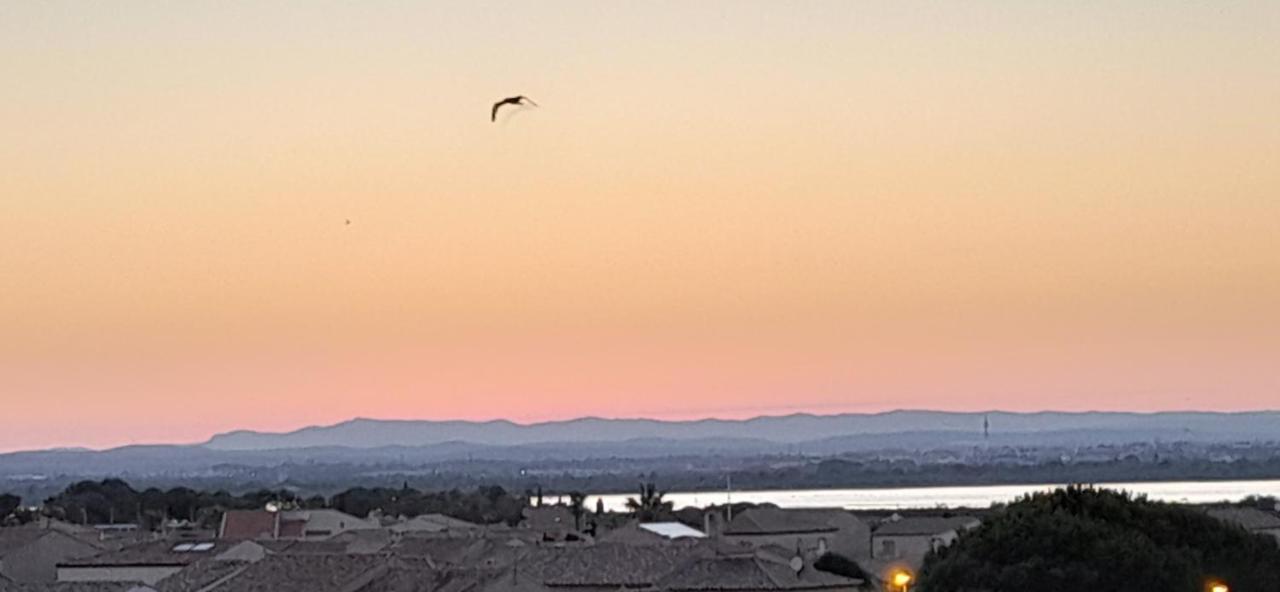Chez Isabelle Et Virgile Bel Appartement, Avec Vues, A 50M De La Plage بالافاس ليه فلو المظهر الخارجي الصورة