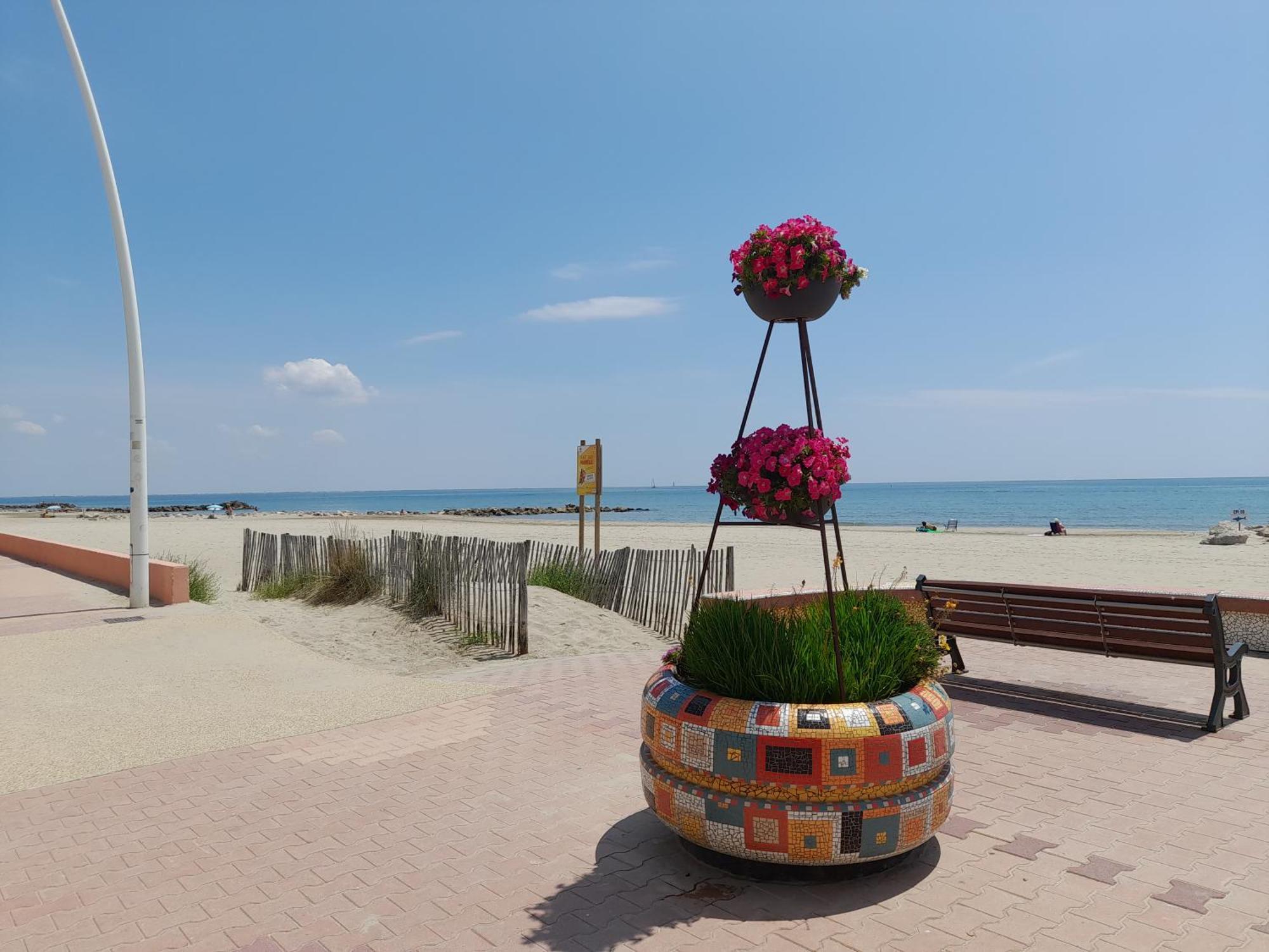Chez Isabelle Et Virgile Bel Appartement, Avec Vues, A 50M De La Plage بالافاس ليه فلو المظهر الخارجي الصورة